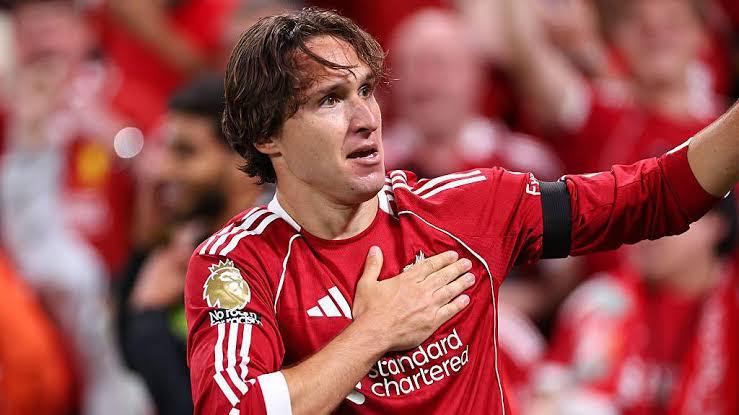 คิเอซ่าเปิดกว้างกลับ ม้าลาย แต่ไม่มุ่งลาหงส์